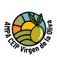 AMPA CEIP Virgen de la Oliva