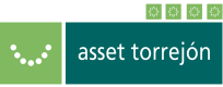 Asset Torrejón